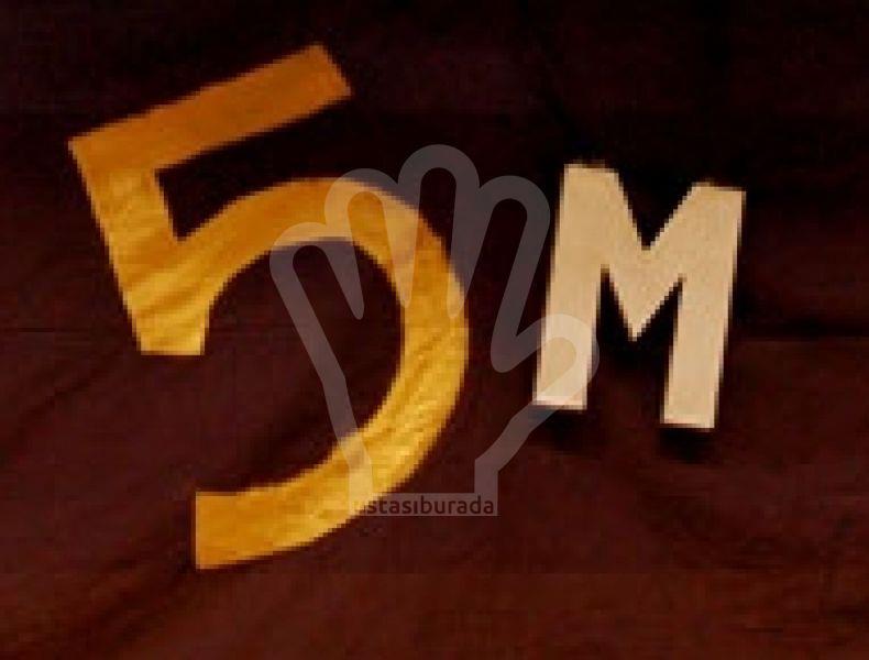 5M BURSA ÇELİK KAPI